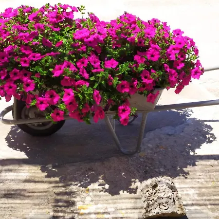 Hébergement de vacances Trulli Demetra Martina Franca