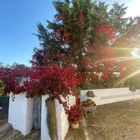 Hébergement de vacances Trulli Demetra *