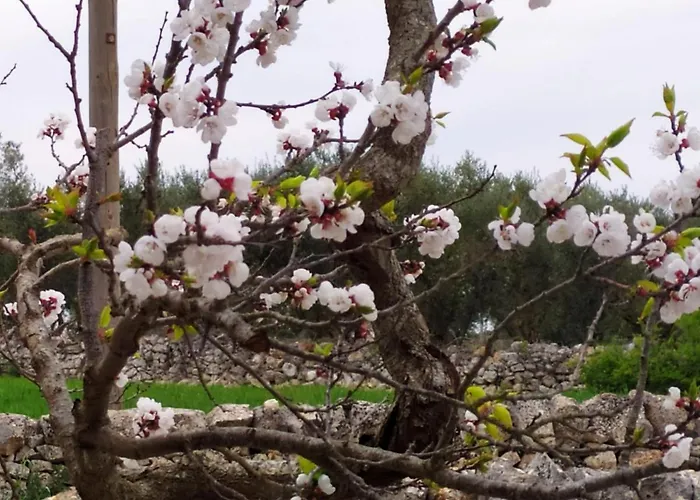 Trulli Demetra Semesterbostad