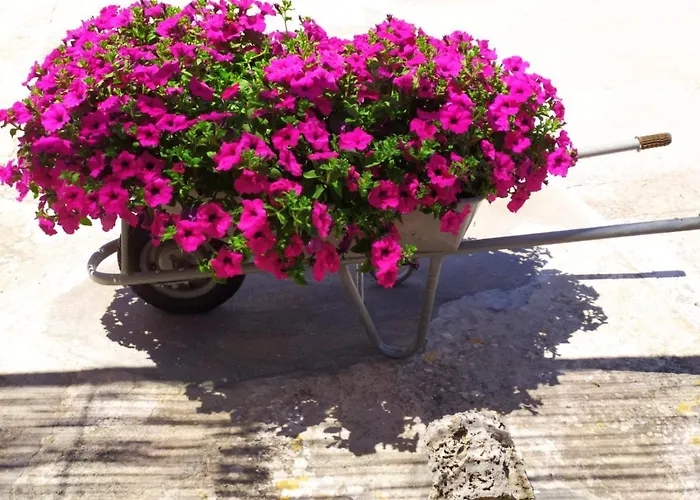 Σπίτι διακοπών Trulli Demetra Μαρτίνα Φράνκα